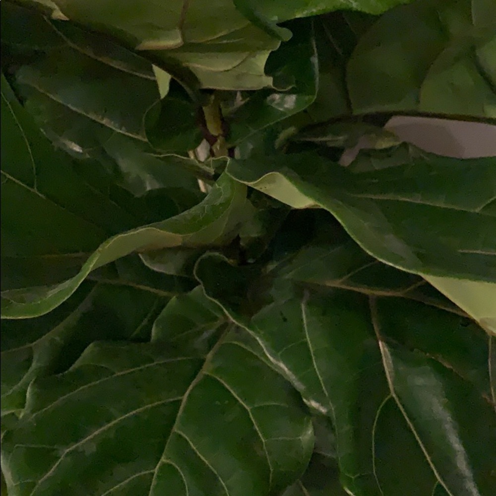 Meet your Posher, Hil